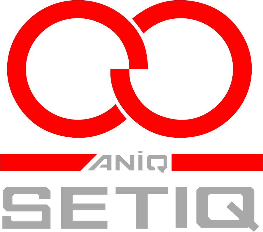 logotipo de SETIQ
